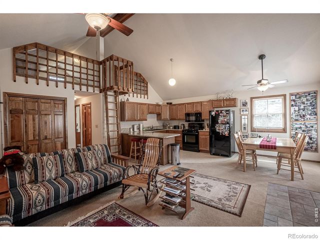 307 Brewster Lane, Livermore, CO 80536