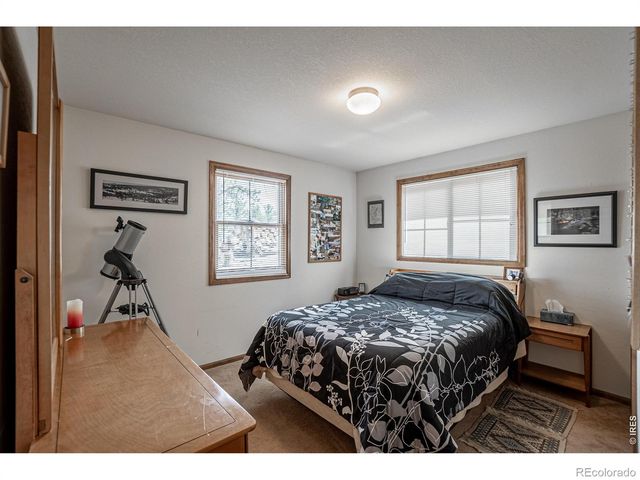 307 Brewster Lane, Livermore, CO 80536
