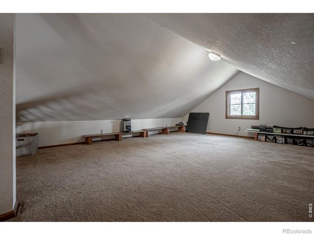 307 Brewster Lane, Livermore, CO 80536