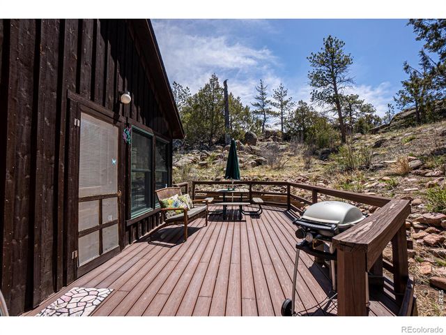 307 Brewster Lane, Livermore, CO 80536