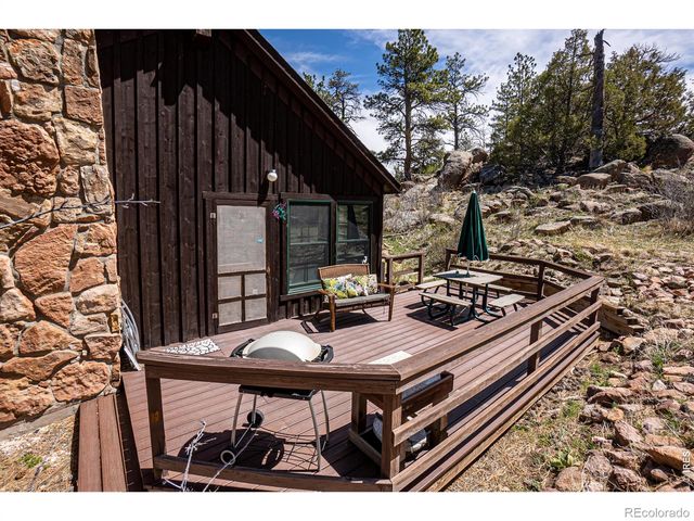 307 Brewster Lane, Livermore, CO 80536