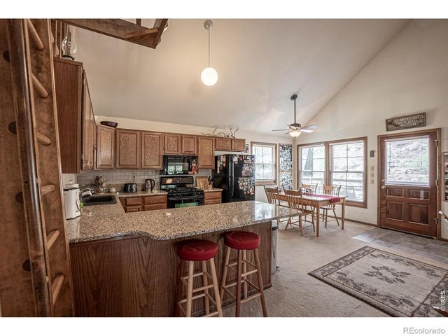 307 Brewster Lane, Livermore, CO 80536
