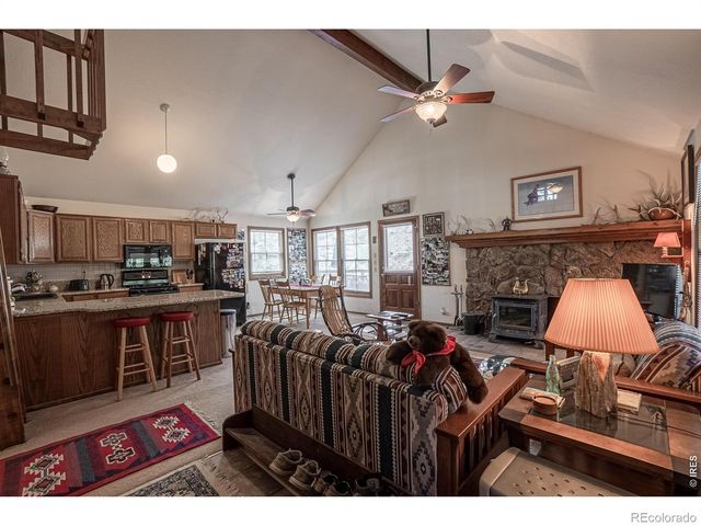 307 Brewster Lane, Livermore, CO 80536