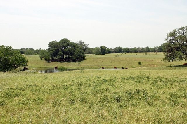 319 R C LN, Lockhart, TX 78644