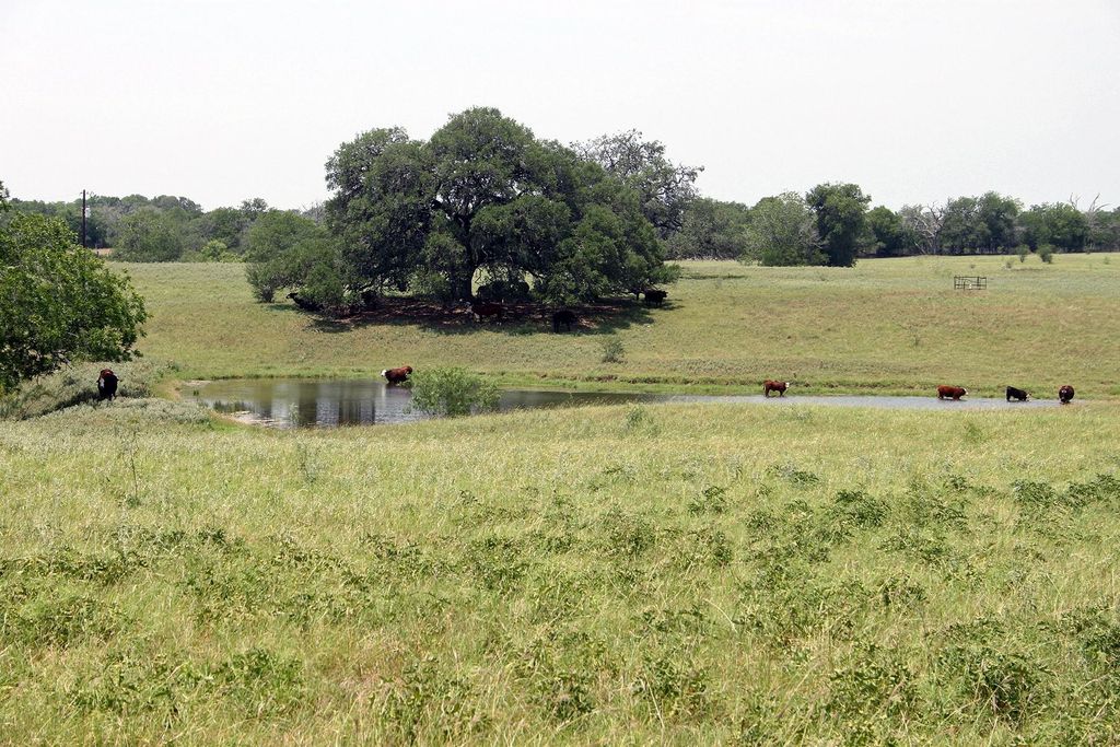319 R C LN, Lockhart, TX 78644