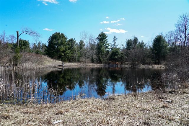 5840 Wildwood Road, Alger, MI 48610