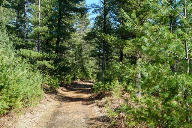 5840 Wildwood Road, Alger, MI 48610