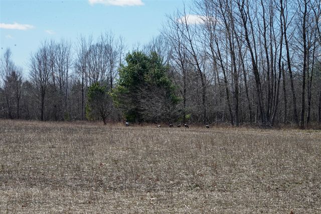 5840 Wildwood Road, Alger, MI 48610