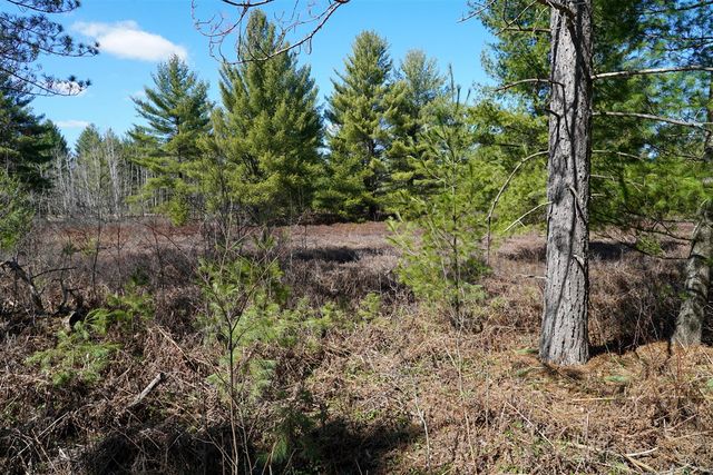 5840 Wildwood Road, Alger, MI 48610