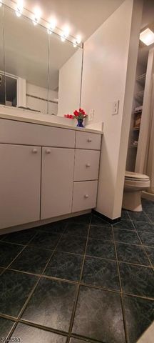 9 E Fox Chase Rd, Chester Twp., NJ 07930