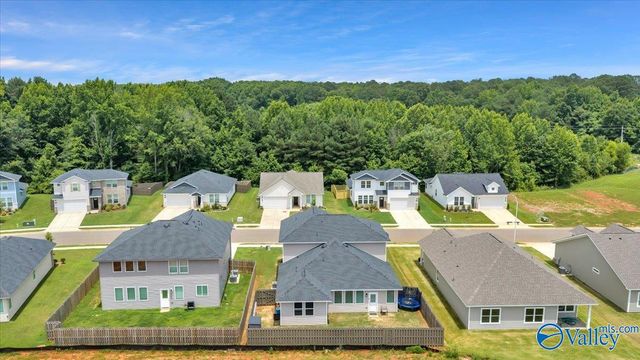 116 Plum Tree Lane, Hazel Green, AL 35750