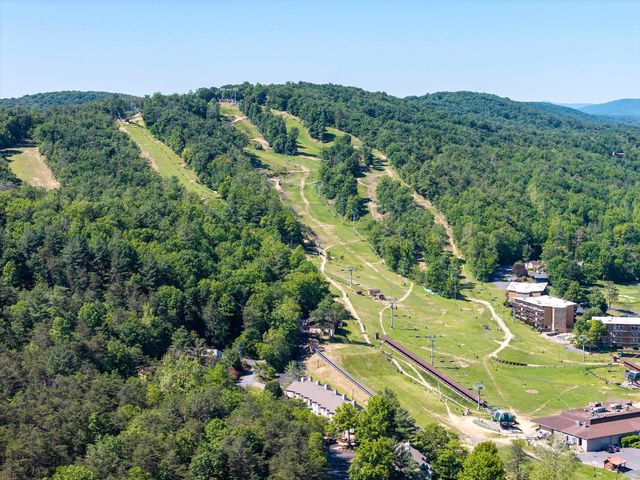 167 WILLIAMS LN, Basye, VA 22810