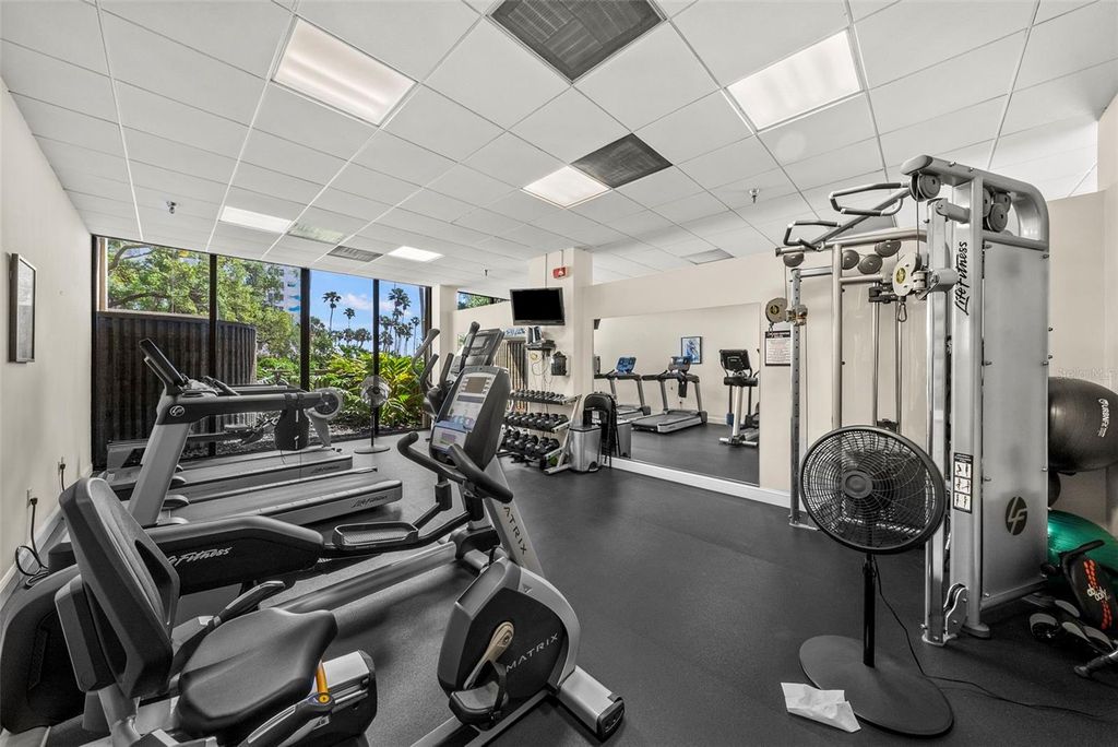 Image 72 of property listing at 2413 BAYSHORE BOULEVARD 803, Tampa, FL 33629