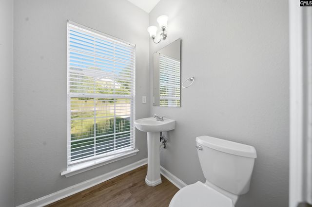 300 Gallatin Circle, Irmo, SC 29063