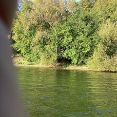 TBD Engstrom Way NW, Ida Twp, MN 56308