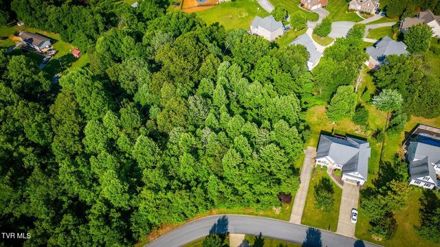 280 Holland View Drive, Jonesborough, TN 37659