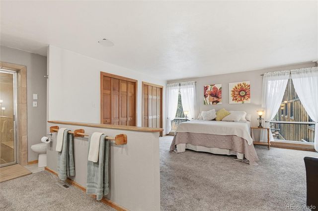 13082 S Wamblee Valley Road, Conifer, CO 80433