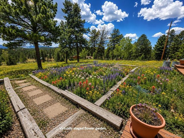 13082 S Wamblee Valley Road, Conifer, CO 80433