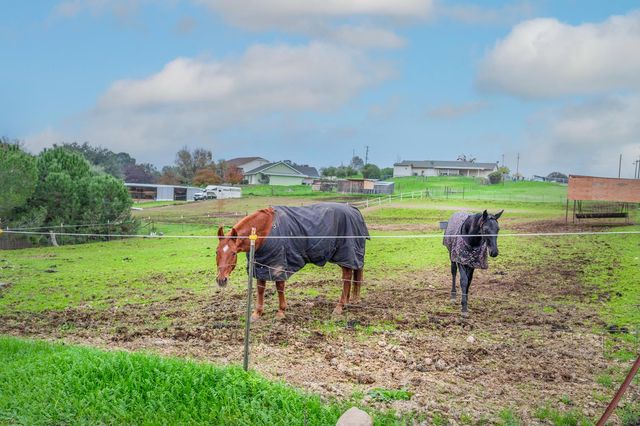 4568 Roadrunner Dr, Ione, CA 95640