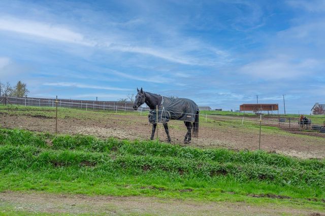 4568 Roadrunner Dr, Ione, CA 95640