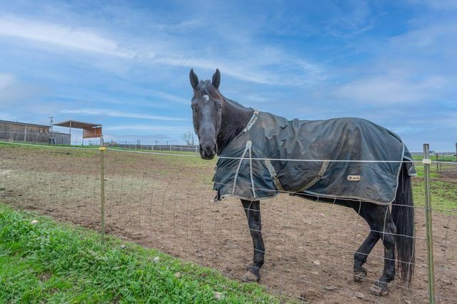 4568 Roadrunner Dr, Ione, CA 95640