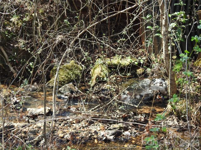 00 Laurel Lakes Parkway Lot 1, Lake Lure, NC 28746