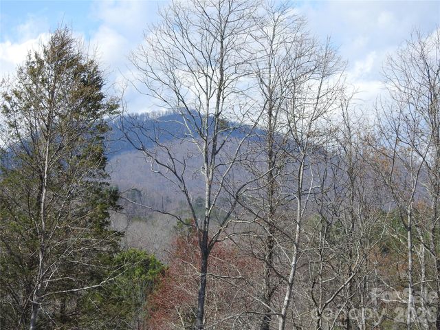 00 Laurel Lakes Parkway Lot 1, Lake Lure, NC 28746