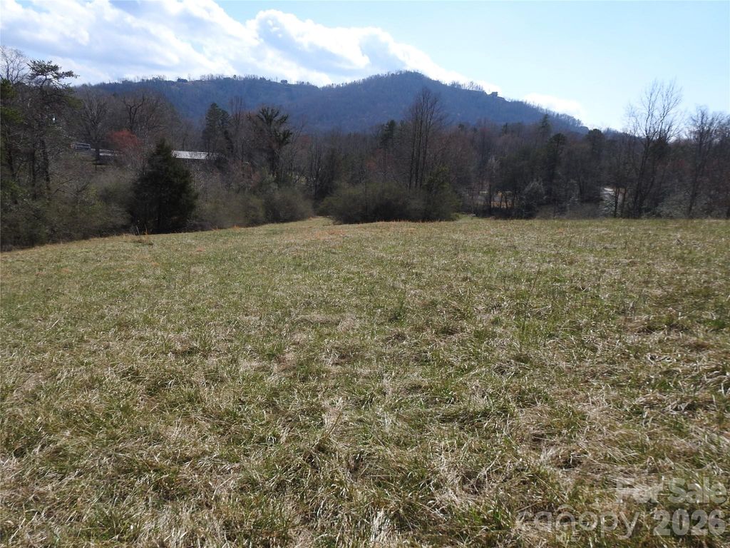 00 Laurel Lakes Parkway Lot 1, Lake Lure, NC 28746