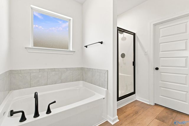 204 James River Drive, Madison, AL 35756