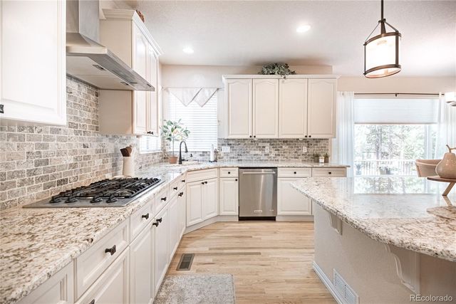 1000 Cochetopa Drive, Larkspur, CO 80118