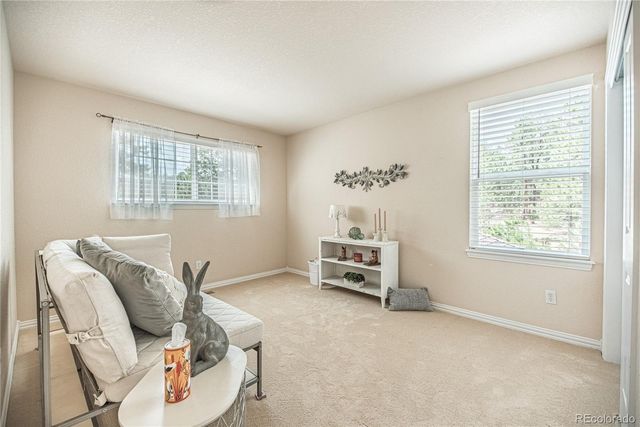 1000 Cochetopa Drive, Larkspur, CO 80118