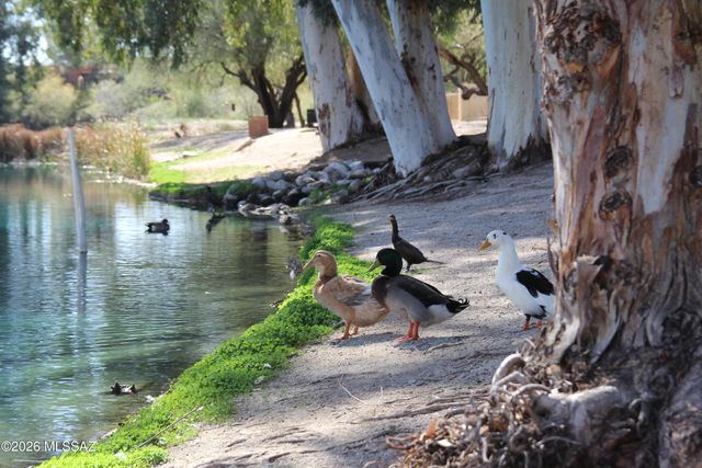 2177 N Split Rock Place, Tucson, AZ 85749