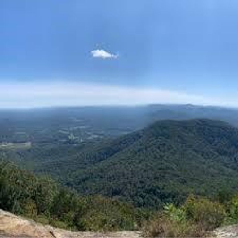 198 Soaring Hawk Trail, Cleveland, GA 30528