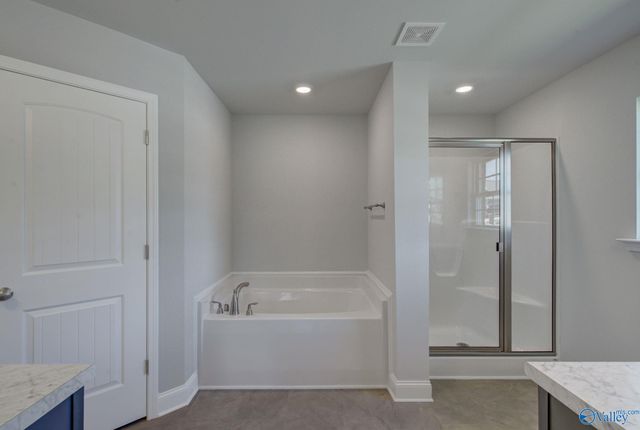 14132 Creekwater Court, Harvest, AL 35749