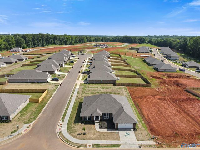 14132 Creekwater Court, Harvest, AL 35749