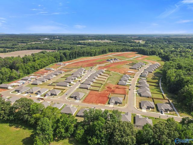 14132 Creekwater Court, Harvest, AL 35749