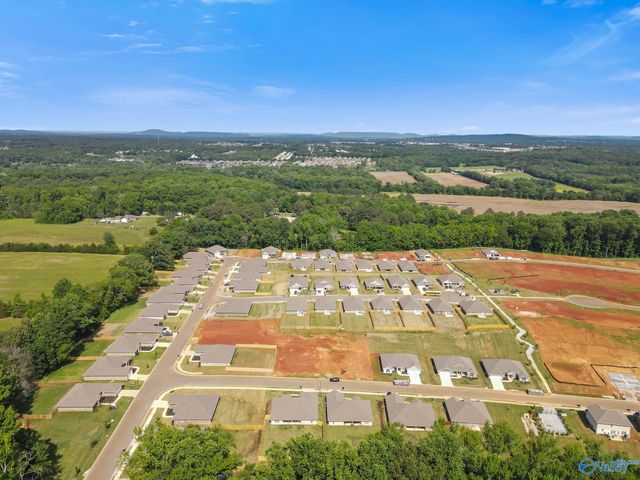 14132 Creekwater Court, Harvest, AL 35749