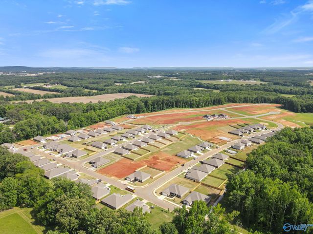 14132 Creekwater Court, Harvest, AL 35749