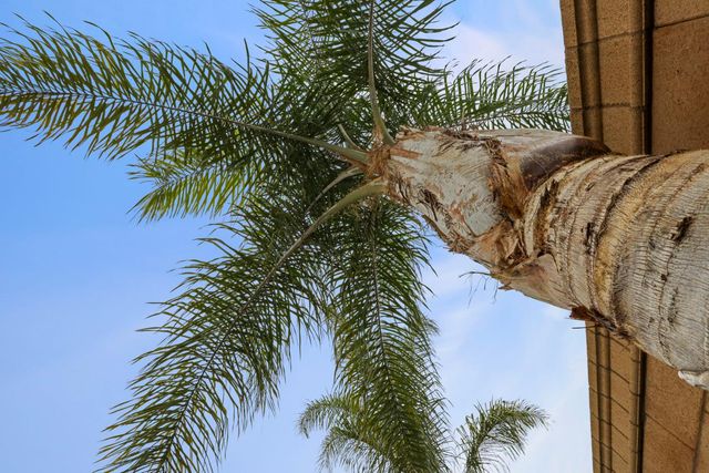 1091 Alba St, Manteca, CA 95337