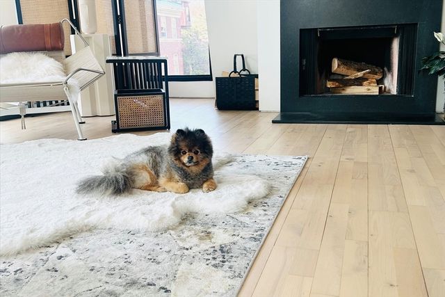 201 Newbury St 506, Boston, MA 02116
