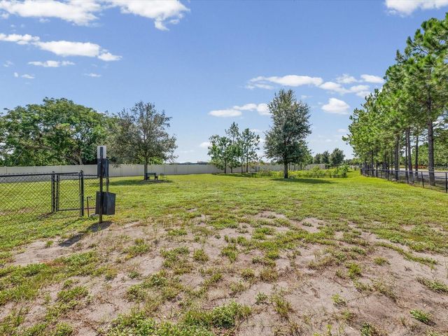 16630 GROTTO STEAM PLACE, Wimauma, FL 33598