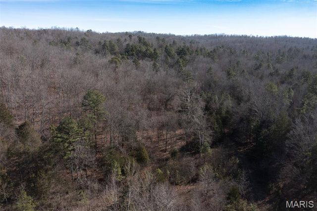 0 Madison 441, Fredericktown, MO 63645