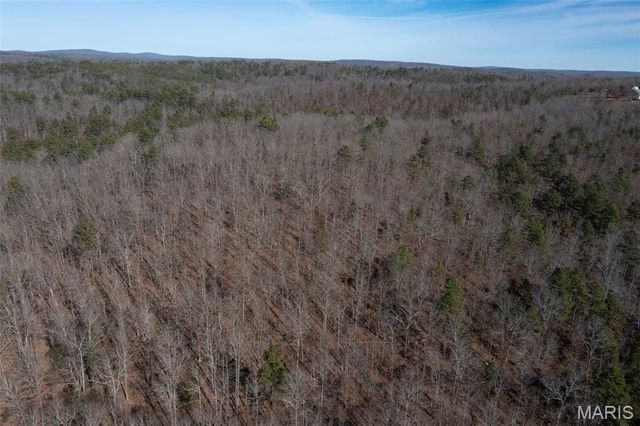 0 Madison 441, Fredericktown, MO 63645