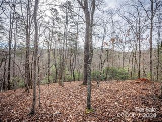 163 Pheasant Street 163, Lake Lure, NC 28746