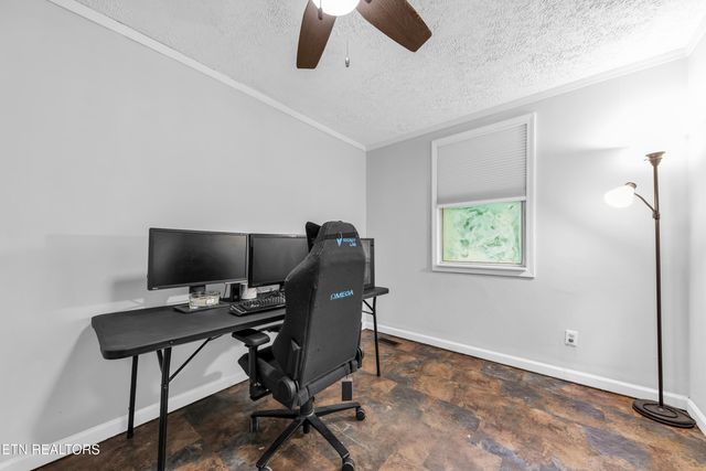 303 N Walnut St, Lenoir City, TN 37771