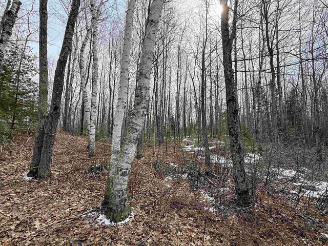 N12815 SAILOR LAKE ROAD, Park Falls, WI 54552