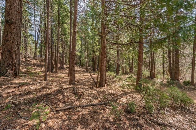 121, 141 Mountain Aire Road, Trinity Center, CA 96091