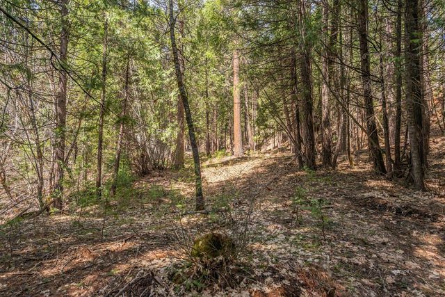 121, 141 Mountain Aire Road, Trinity Center, CA 96091