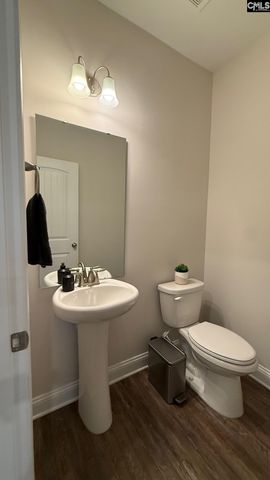 709 Empire Maker Road, Lexington, SC 29073