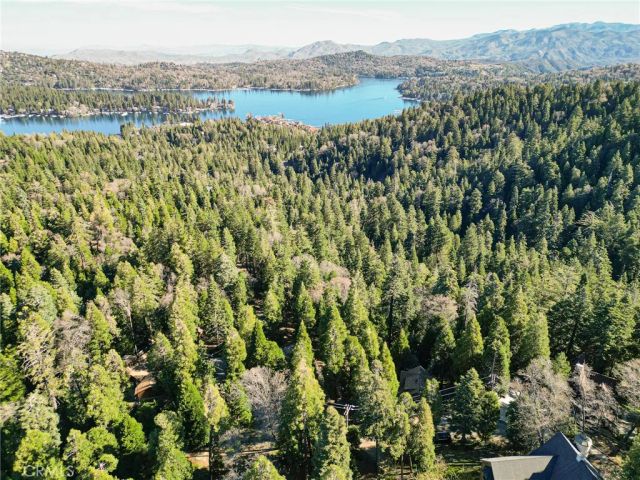 717 Crest Estates, Lake Arrowhead, CA 92352